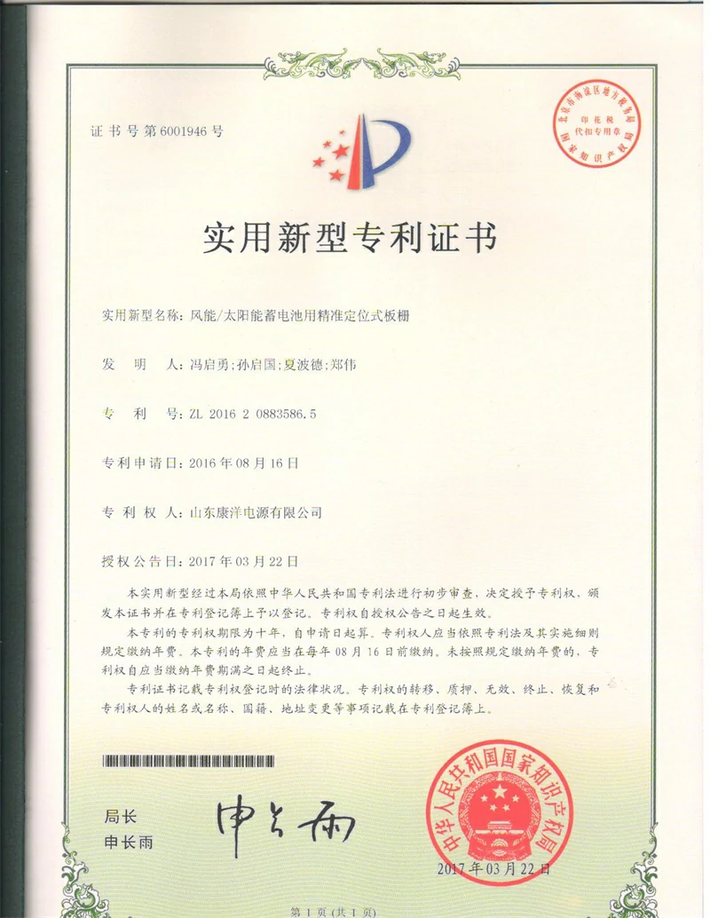 Patent certificate 7